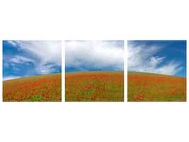 panoramic-3-piece-canvas-print-red-poppies