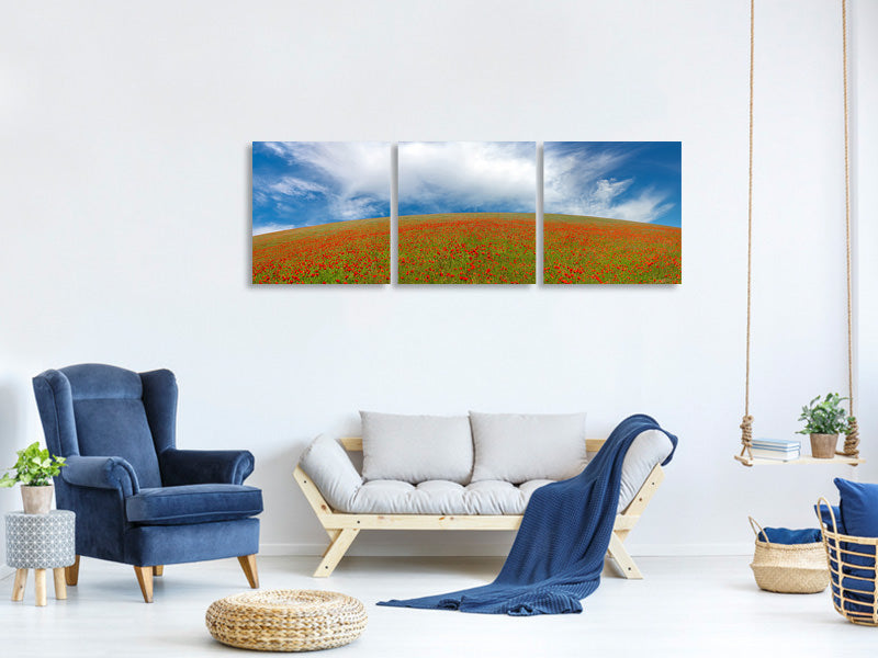 panoramic-3-piece-canvas-print-red-poppies