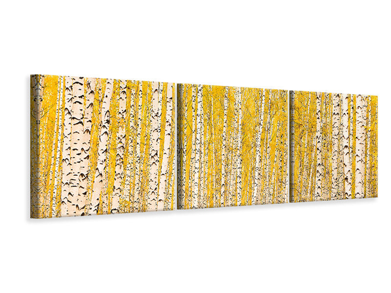 panoramic-3-piece-canvas-print-the-birch-forest-in-autumn