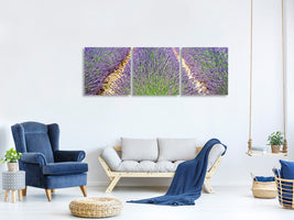 panoramic-3-piece-canvas-print-the-lavender-field