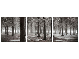 panoramic-3-piece-canvas-print-the-onset-of-winter