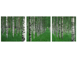 panoramic-3-piece-canvas-print-the-tunnel