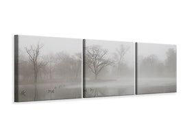 panoramic-3-piece-canvas-print-untitled-xiii