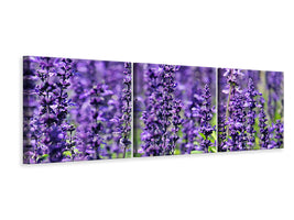 panoramic-3-piece-canvas-print-xl-lavender