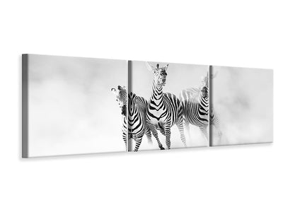 panoramic-3-piece-canvas-print-zebras