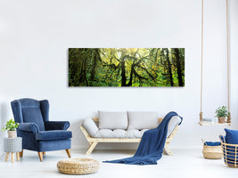 panoramic-canvas-print-dreamy-forest