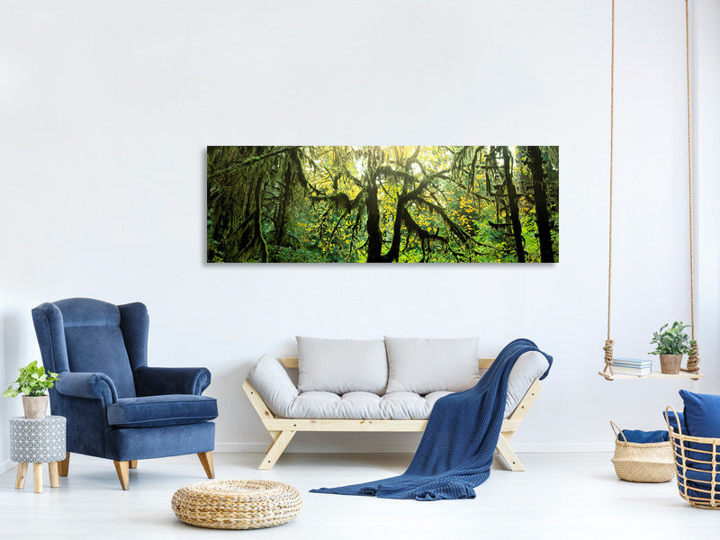 panoramic-canvas-print-dreamy-forest