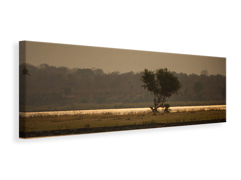 panoramic-canvas-print-elephant-alone-in-the-steppe