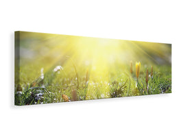 panoramic-canvas-print-flowery-meadow