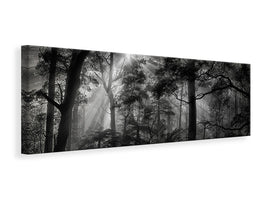 panoramic-canvas-print-primary-forest