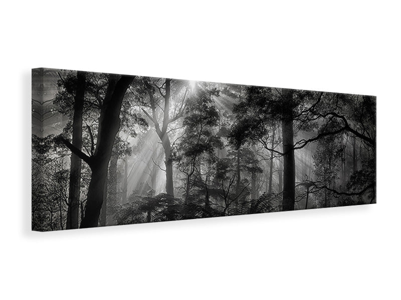 panoramic-canvas-print-primary-forest