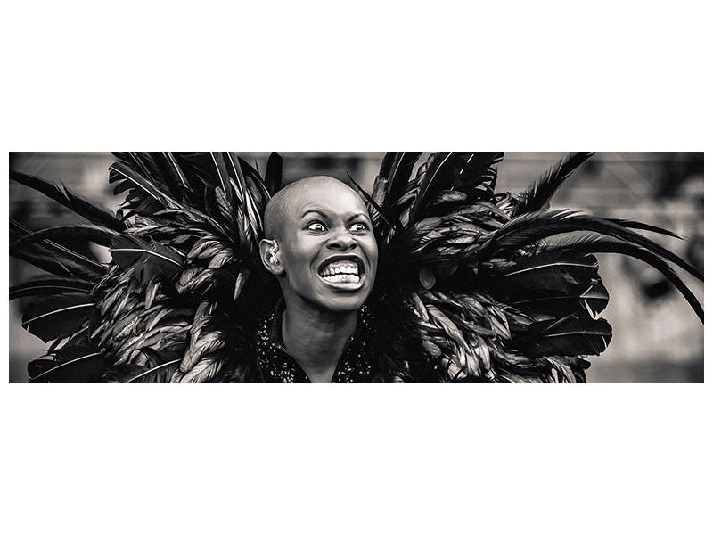 panoramic-canvas-print-skunk-anansie