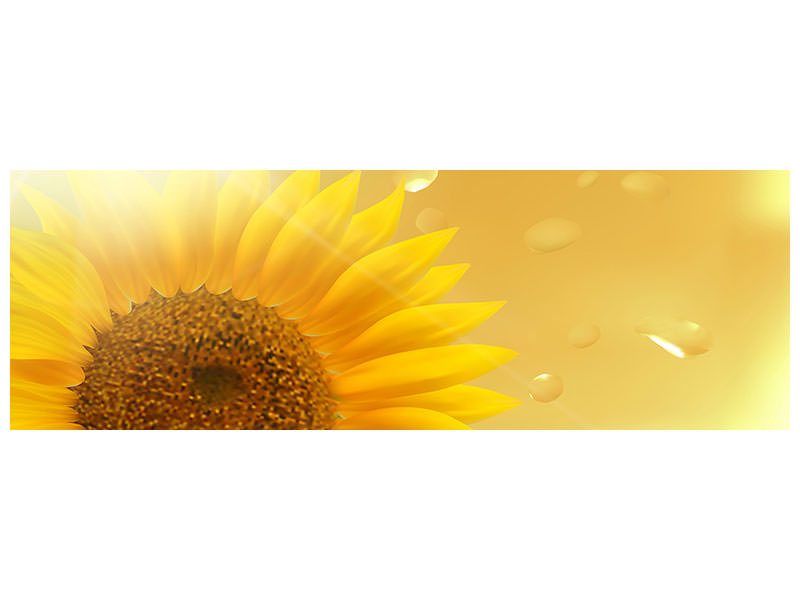 panoramic-canvas-print-sunflower-in-morning-dew