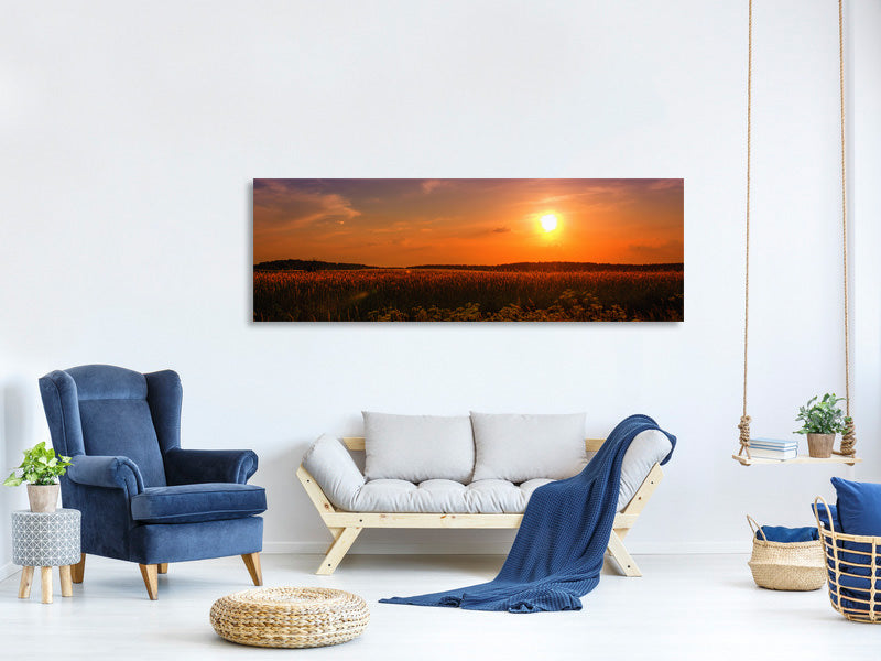 panoramic-canvas-print-sunset-at-the-flower-field