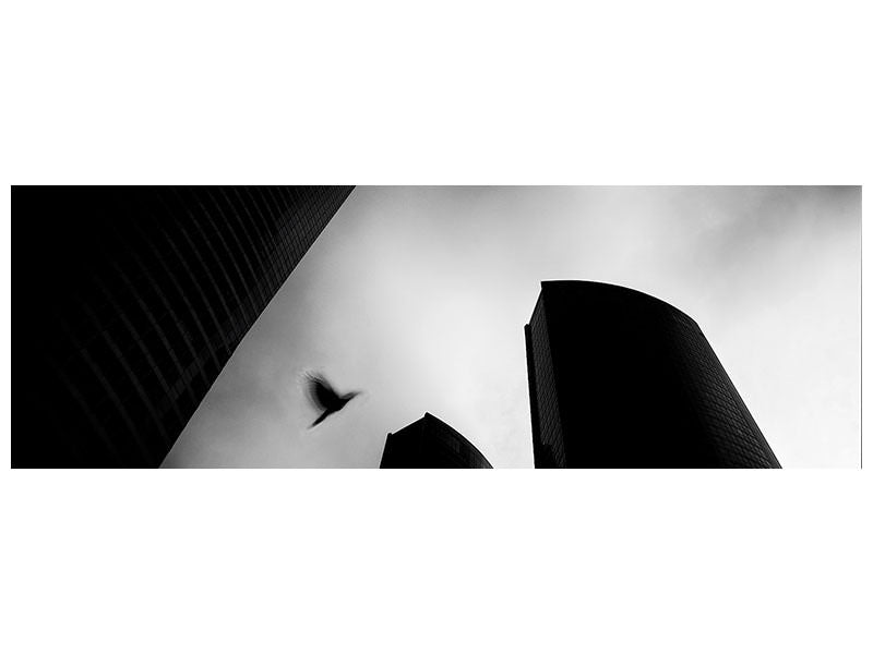 panoramic-canvas-print-the-lost-bird-homage-for-andra-kertasz
